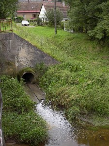 2001.08.07 14.15.53.jpg